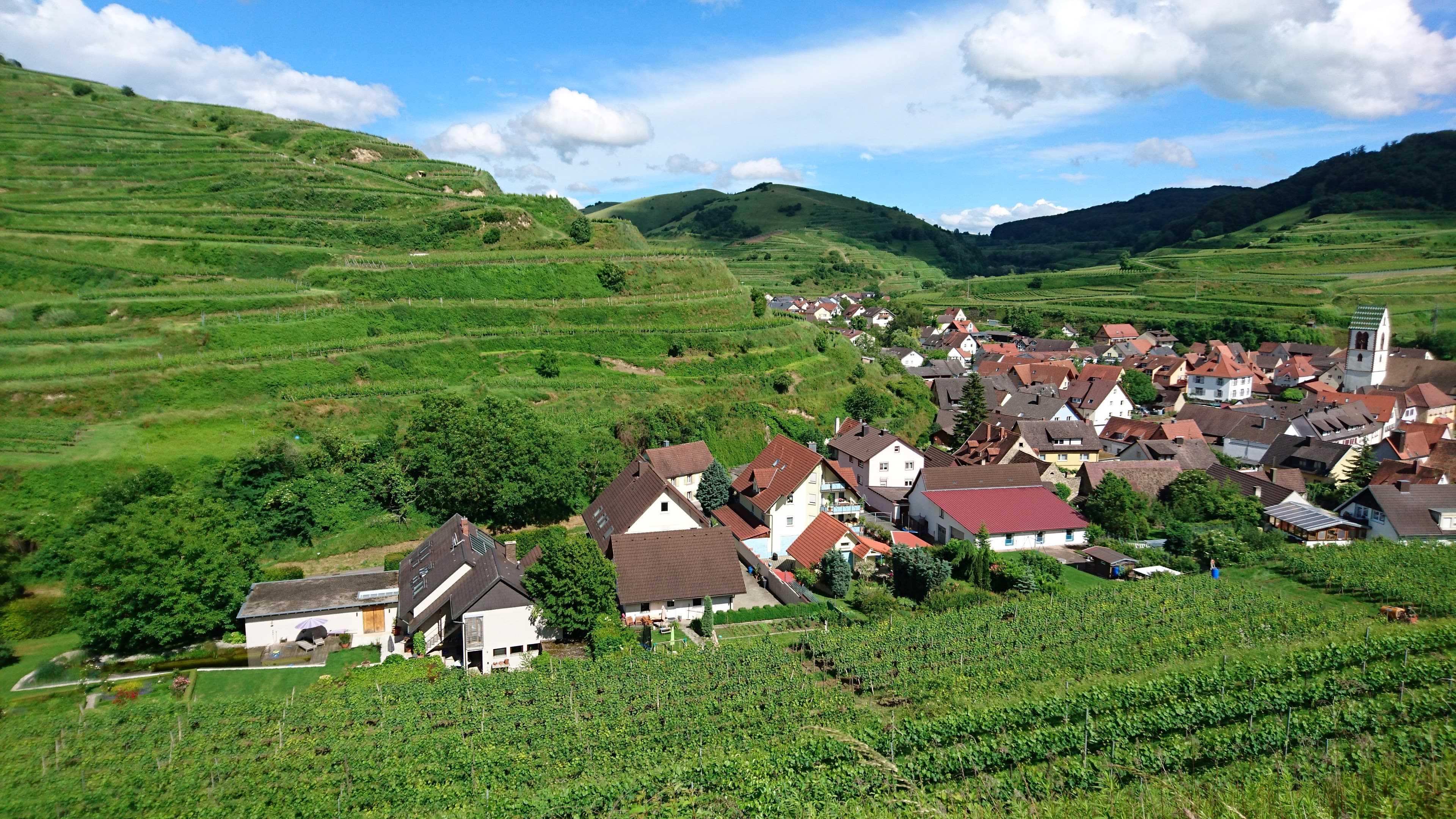 Udsigt i Keiserstuhl